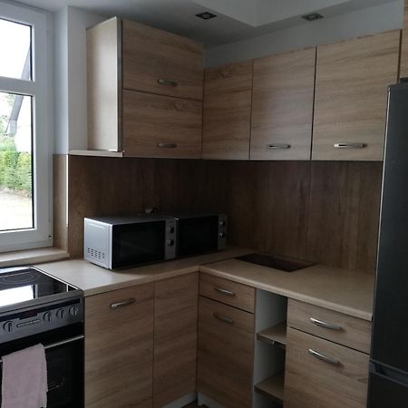 Villa Pokoje U Iwonki - Barzowice Extérieur photo